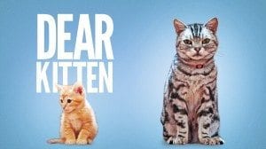 dear-kitten-a-cute-friskies-ad-n
