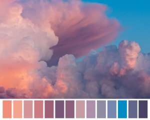 Color Palette