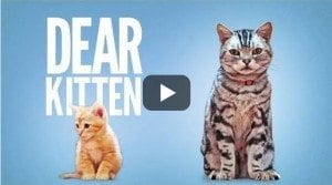 Purina branded content on BuzzFeed