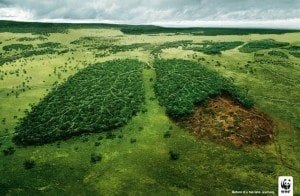 WWF Ad