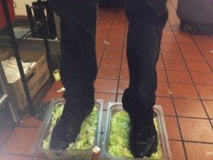 Employee standing in lettuce