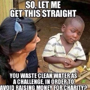 Ice Bucket Challenge Criticism